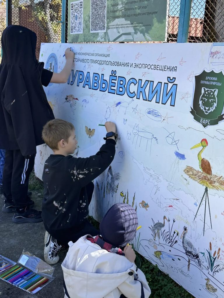 Раскраска